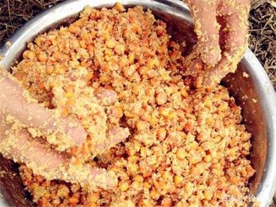 高背一條6年40厘米