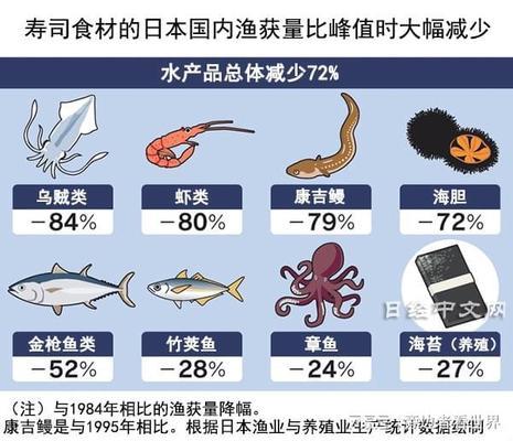 銀龍魚每年長多少(銀龍魚長多快)