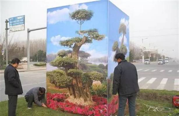 虎魚可以養幾條最好的：關于虎魚的最佳飼養數量取決于多個因素，虎魚養幾條最好 虎魚可以養幾條最好的：關于虎魚的最佳飼養數量取決于多個因素，虎魚養幾條最好 虎魚百科 第1張