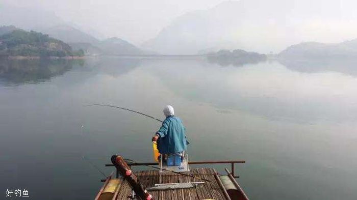魚(yú)缸加鹽有什么用(魚(yú)缸加鹽有什么用嗎)