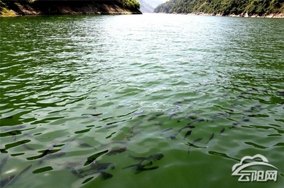 森森魚缸過濾盒