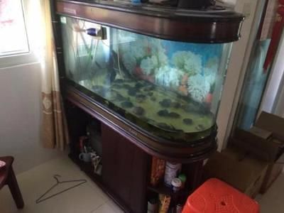 魟魚用什么濾材：飼養(yǎng)魟魚時選擇合適的濾材是非常重要的，[需手動填充]魚用什么濾材