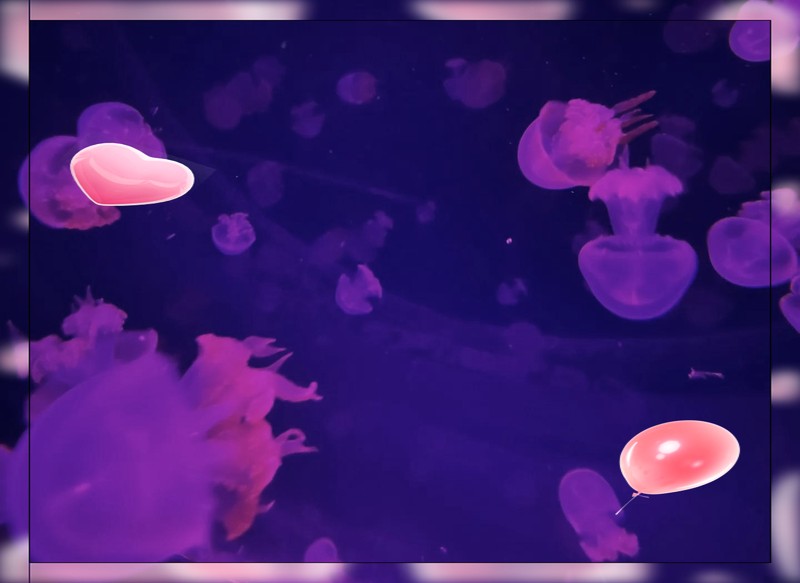 烏市牧試站水族店，烏魯木齊市牧試站水族店 烏市牧試站水族店，烏魯木齊市牧試站水族店 全國水族館企業名錄 第2張