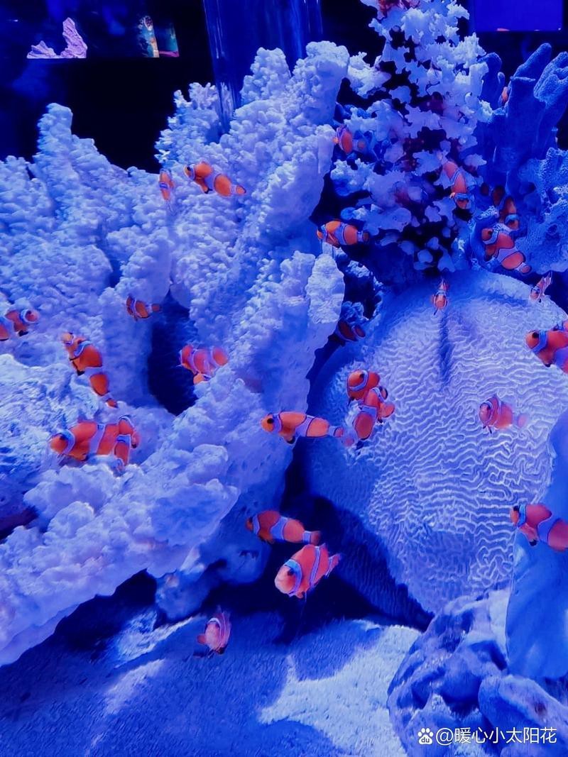 烏市牧試站水族店，烏魯木齊市牧試站水族店 烏市牧試站水族店，烏魯木齊市牧試站水族店 全國水族館企業名錄 第1張