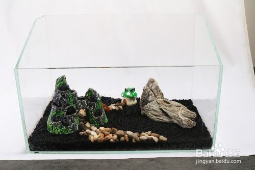 描寫紅龍魚的文字怎樣寫好看：描寫紅龍魚好看的方法