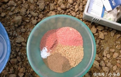 龍魚虎魚水溫多少度最好活(虎魚需要多少溫度的水)