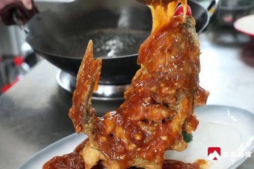 岱岳龍魚店，岱岳龍魚店哪家口碑最好 岱岳龍魚店，岱岳龍魚店哪家口碑最好 全國(guó)水族館企業(yè)名錄 第1張