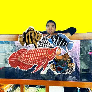 豬鼻龜一般在多深的水里生存呢(豬鼻龜一般在多深的水里生存呢視頻)