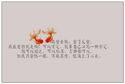 石嘴山魚缸訂做(銀川魚缸定做)