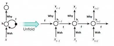 大魚缸換水多久換一次合適呢：大魚缸換水的頻率取決于多個因素