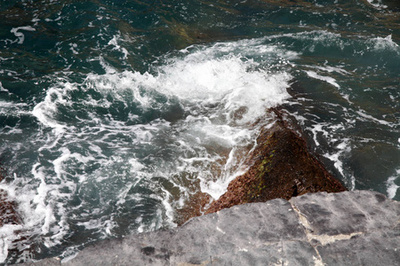 印尼紅龍魚價格表最新行情：印尼紅龍魚價格波動原因印尼紅龍魚價格波動原因