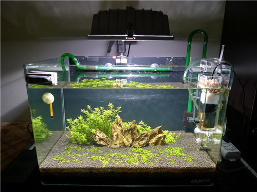 鄒平二手魚缸市場電話，以及鄒城哪里有賣魚缸的嗎 鄒平二手魚缸市場電話，以及鄒城哪里有賣魚缸的嗎 魟魚百科 第2張