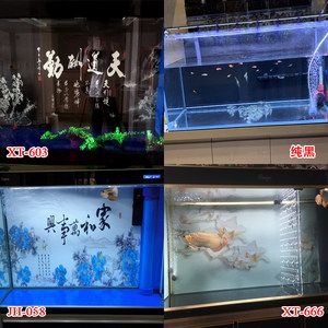 純黑背景魚缸效果 魚缸百科 第4張 純黑背景魚缸效果 純黑背景魚缸效果 魚缸百科 第4張