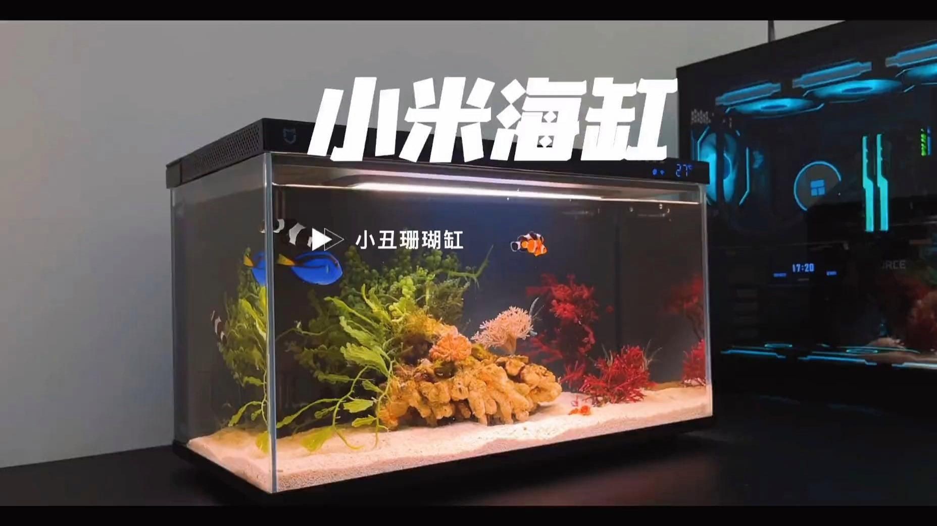 目前最好的魚缸，《目前最好的魚缸》小米智能魚缸深度體驗評測到底值不值得買