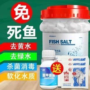 銀龍魚小時候是青色的嗎還是白色(銀龍魚發青綠色怎么回事)