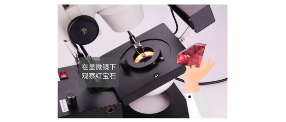 紅龍魚品種分類圖解：幾種常見(jiàn)的紅龍魚品種 紅龍魚品種分類圖解：幾種常見(jiàn)的紅龍魚品種 紅龍魚百科 第2張