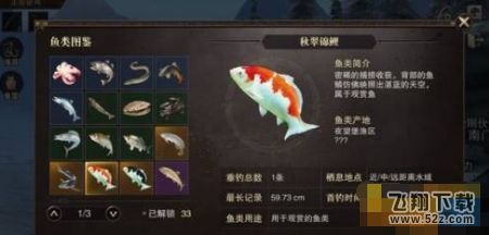 龍魚的適宜水溫是多少度的呢