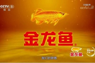 龍魚常見病毒和細菌有哪些