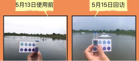 豬鼻龜保護(hù)級(jí)別調(diào)整(豬鼻龜瀕危) 豬鼻龜百科 第2張 豬鼻龜保護(hù)級(jí)別調(diào)整(豬鼻龜瀕危) 豬鼻龜保護(hù)級(jí)別調(diào)整(豬鼻龜瀕危) 豬鼻龜百科 第2張