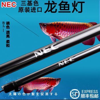 豬鼻龜保護級別調(diào)整(豬鼻龜瀕危)