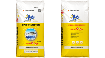 側(cè)濾魚缸魚糞抽不進(jìn)去怎么回事:側(cè)濾魚缸內(nèi)水流動(dòng)向有問題怎么解決