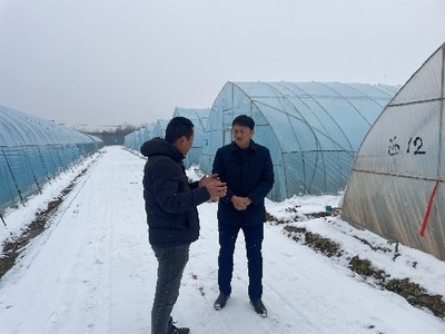 豬鼻龜潰爛嚴重怎么辦(豬鼻子龜背部潰爛怎么辦)