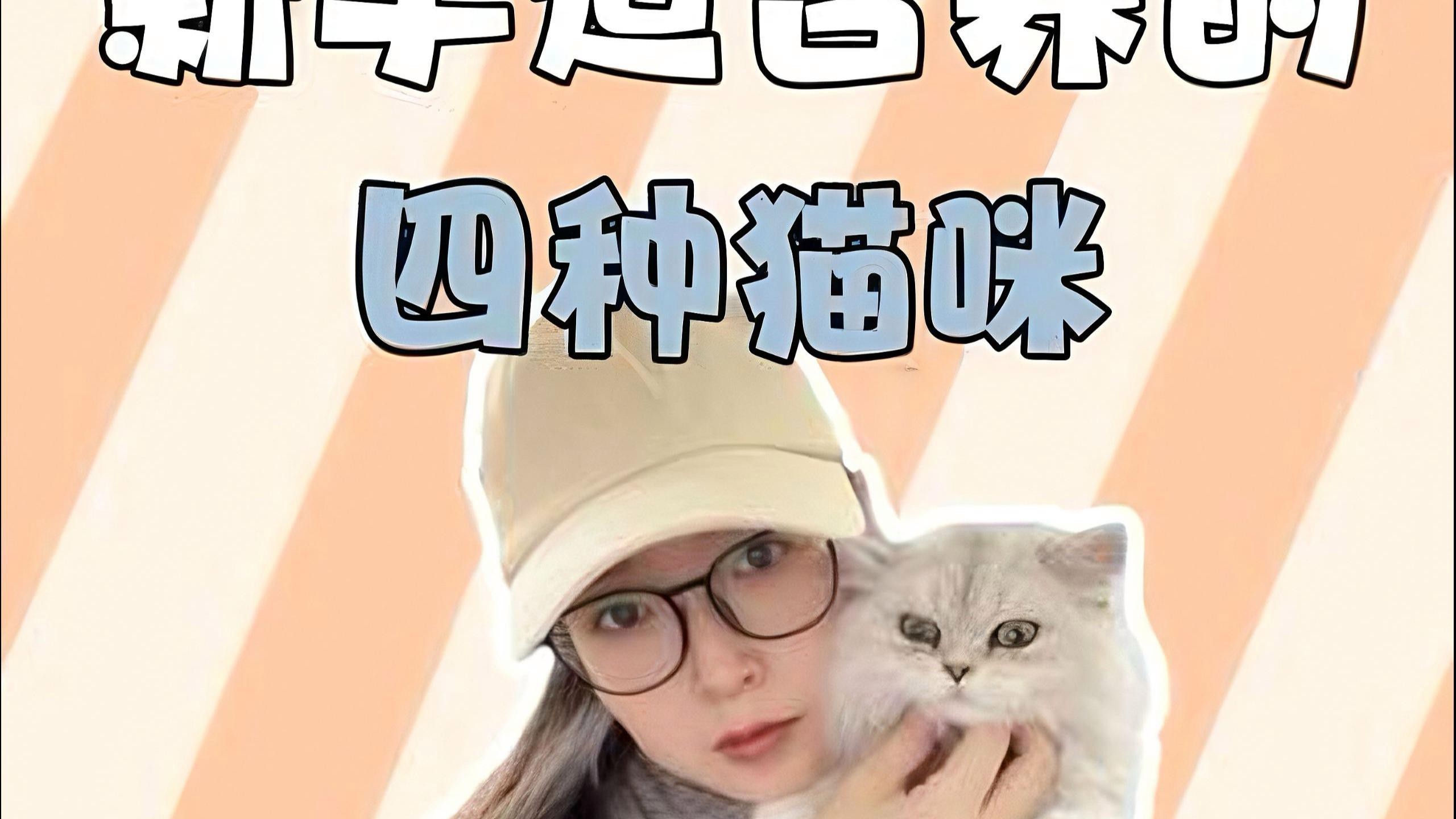 什么貓最便宜又好養還可愛，便宜又好養的幾種貓，你喜歡哪只王小怪寵物