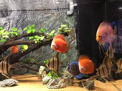 扎魯特旗魯北鎮沐陽電器店