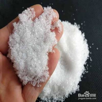 豬鼻龜能活幾年壽命最長(豬鼻龜能養多少年) 豬鼻龜能活幾年壽命最長(豬鼻龜能養多少年) 豬鼻龜百科 第2張