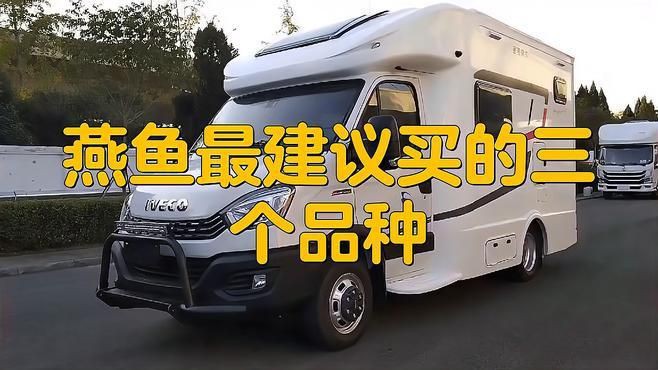 秘魯燕魚屬于什么檔次，秘魯燕魚，又稱秘魯神仙或噴點秘魯神仙或噴點秘魯神仙