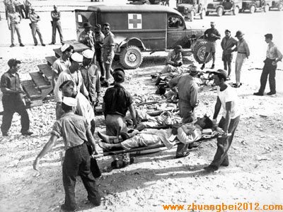 銀龍魚和招財(cái)貓魚打架(龍魚和招財(cái)貓一起養(yǎng)會(huì)打架嗎)