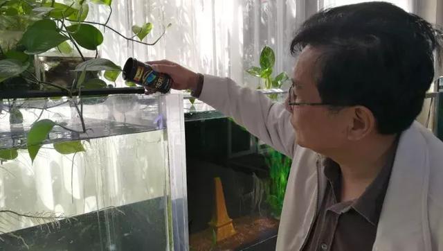 純凈水桶做魚缸：如何將純凈水桶改造成魚缸 純凈水桶做魚缸：如何將純凈水桶改造成魚缸 魚缸百科 第1張