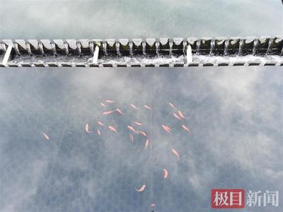 創(chuàng)寧和森森哪個品牌好