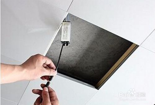 虎魚和龍魚混養(yǎng)溫度多少合適啊圖片(金龍魚和虎魚混養(yǎng)要注意些什么)