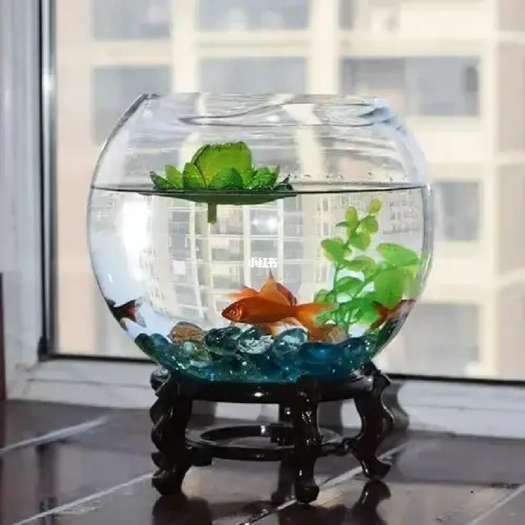 魚缸質(zhì)量怎么樣 魚缸質(zhì)量怎么樣 魚缸百科 第3張