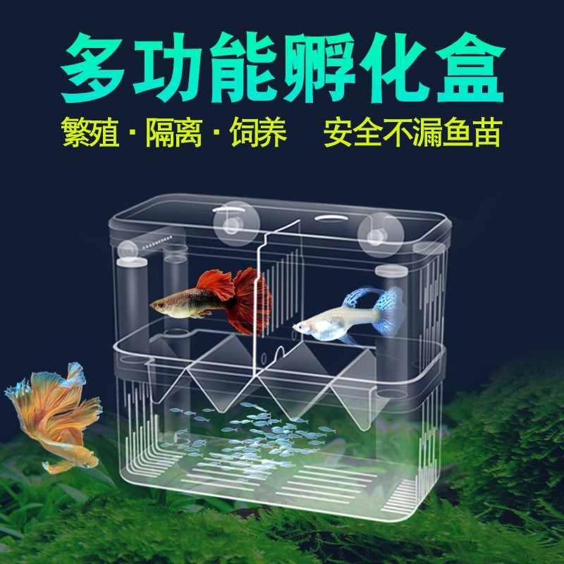 玻璃魚缸怎么搬運好：如何搬運玻璃魚缸？