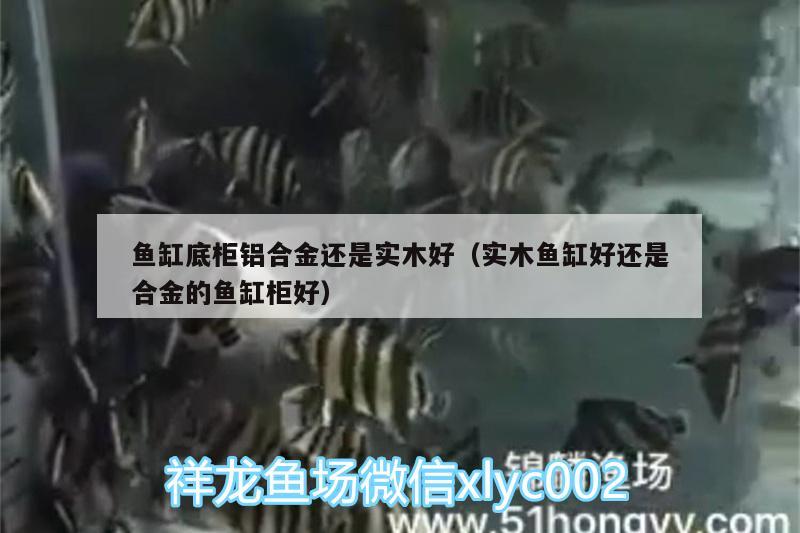 魚缸底柜鋁合金還是實(shí)木好（實(shí)木魚缸好還是合金的魚缸柜好）