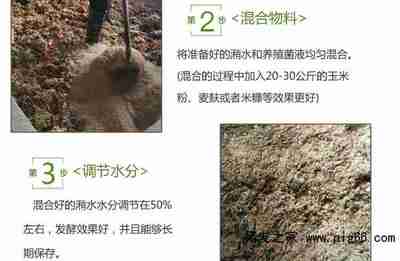 觀賞魚如何分類（觀賞魚屬于什么魚）