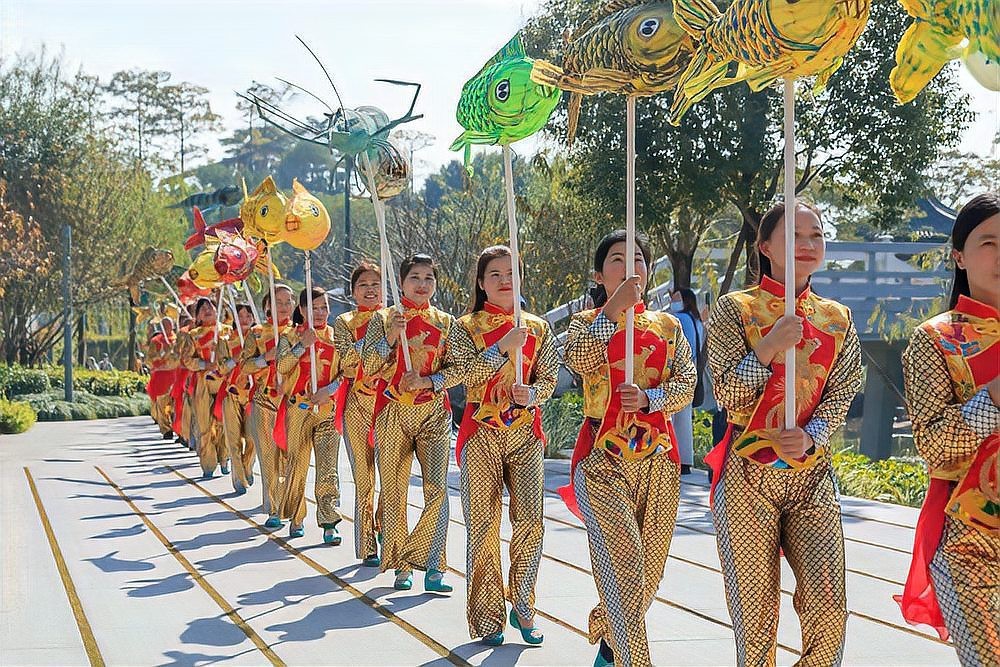 從化水族店，《從化水族店》從化這片充滿自然韻味的地方