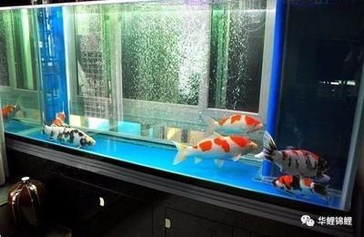博特水泵一小時(shí)出水泵8000流量5襠是多少流量5襠，博特水泵一小時(shí)出水200平方米