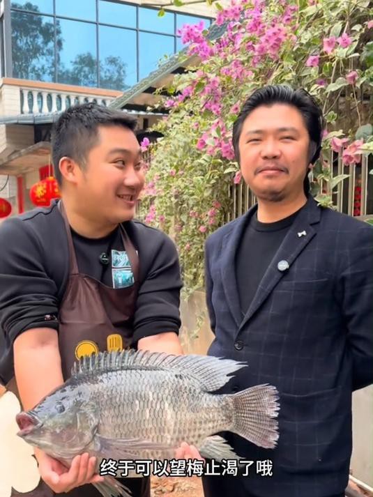 王老板養(yǎng)魚視頻全集，王師虎《魚塘老板的故事》視頻全集