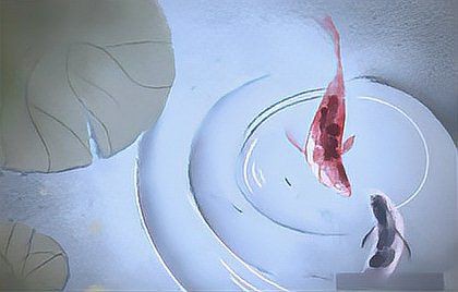 風水魚怎么擺,家居風水魚的擺放方式 龍魚百科 第2張 風水魚怎么擺,家居風水魚的擺放方式 風水魚怎么擺,家居風水魚的擺放方式 龍魚百科 第2張