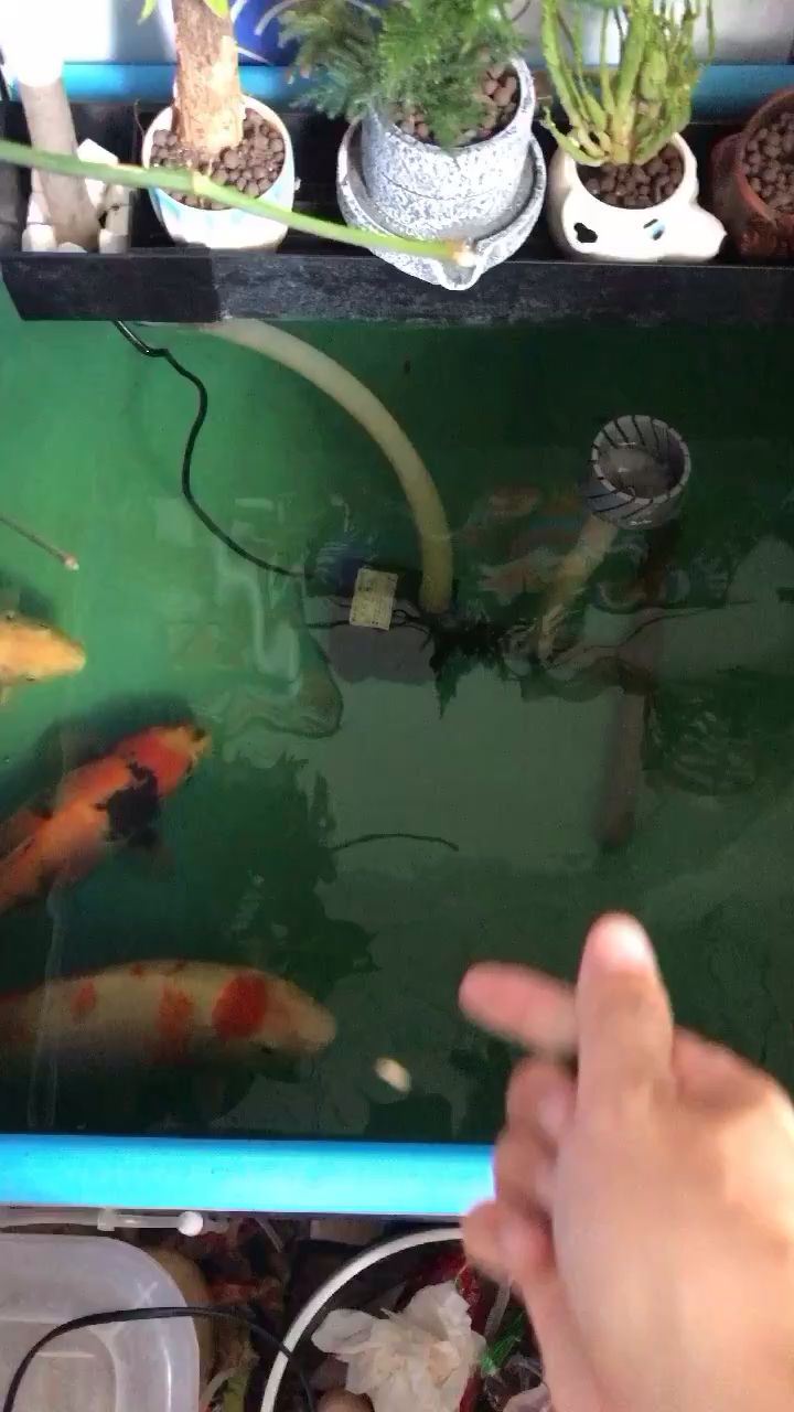 秋風涼意將至感覺可以大展拳腳了