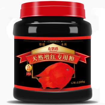 非洲鳳凰怎么繁殖的視頻播放(非洲鳳凰產卵) 魟魚百科 第2張 非洲鳳凰怎么繁殖的視頻播放(非洲鳳凰產卵) 非洲鳳凰怎么繁殖的視頻播放(非洲鳳凰產卵) 魟魚百科 第2張