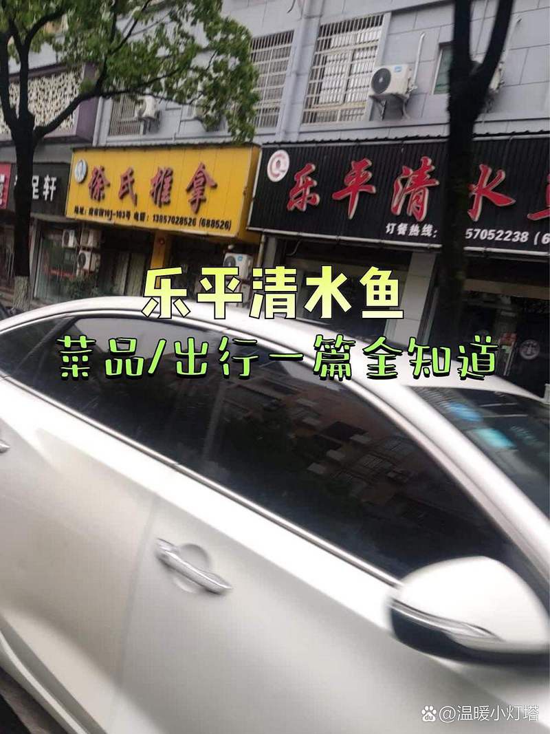 樂平龍魚店，樂平清水魚(南市街店)美食種草出行攻略