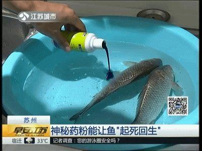 孔雀石綠治療魚爛身爛尾的劑量是多少？，孔雀石綠一噸水用法欣動研究所,讓魚起死回生神藥你會用嗎