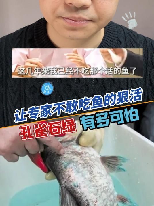 孔雀石綠治療魚爛身爛尾的劑量是多少？，孔雀石綠一噸水用法欣動研究所,讓魚起死回生神藥你會用嗎