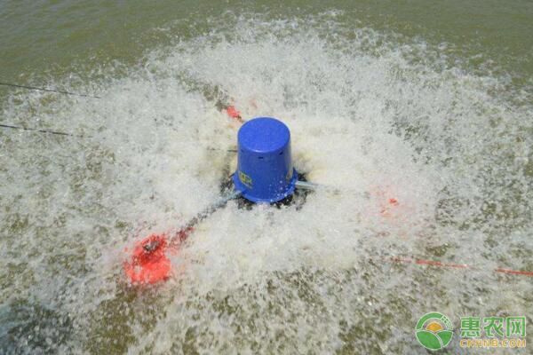 博特加熱棒加熱過程滴滴滴發出聲音(博特加熱棒一直響)