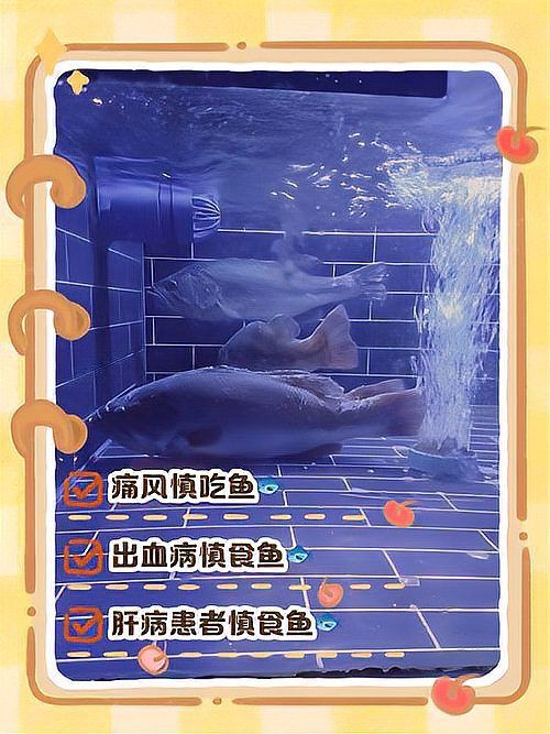 紅尾鯰魚可以吃嗎，如何辨別紅尾鯰魚是否新鮮