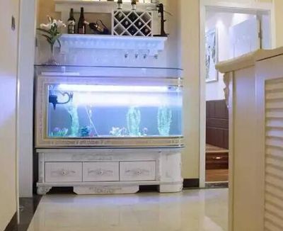 養魚數量與家居氣場的關系：養魚數量與家居氣場的關系是一個備受關注的話題